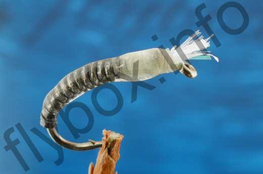 Fish4Flies All Lead Lumi Buzzer